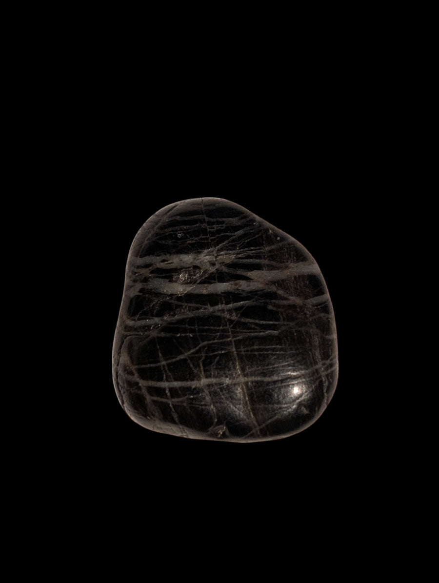Michigan Lightning Stone