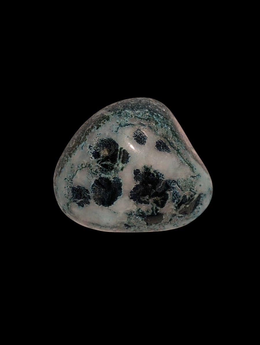 Orbed Diorite